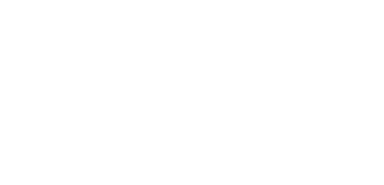 Prillog Transport Logo